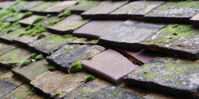 Gloweth roof repair costs